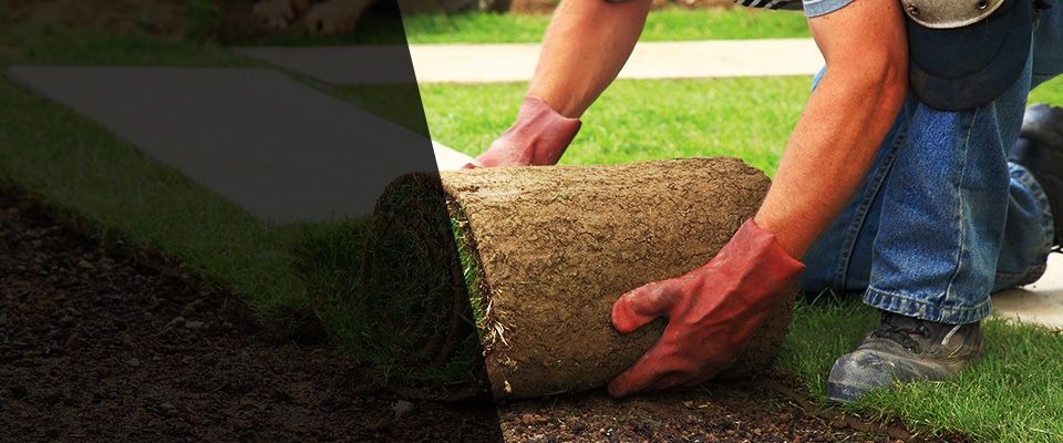 Denver Landscapers
